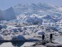 Sumber Daya Alam Greenland, Wilayah yang Jadi Perhatian Pasca Serangan Trump ke Venezuela