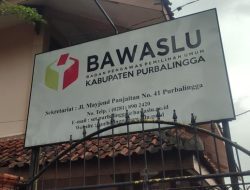 Data Pribadi Disalahgunakan Partai, Warga Jadi Korban Sistem Politik yang Tidak Terkendali