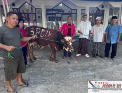 DPC PDI Perjuangan Tulungagung Serahkan Sapi Kurban di Masjid Dekat Makam Kakek Bung Karno dan Mbok Sarinah
