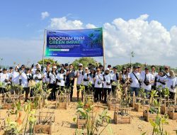PNM tanam 22 ribu pohon mangrove di 18 lokasi pesisir