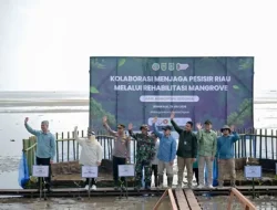Hadapi Abrasi, 13 Hektare Mangrove Desa Deluk Direhabilitasi