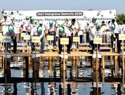 Mangrove Kunci Cegah Abrasi, Kolaborasi Jaga Pesisir Jakarta