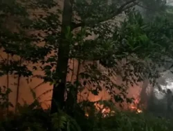 Ancaman El Niño Nyata: 78 Titik Panas di Kaltim, Musim Kemarau Puncak Mengintai di Agustus