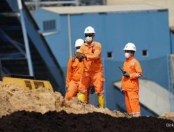 PLN EPI Perkuat Pasokan Biomassa Co-Firing Jadi 4,07 Juta Ton pada 2027