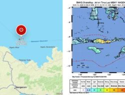 BMKG Umumkan Tsunami di 10 Wilayah Akibat Gempa M7,7 NTT