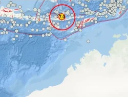BMKG Hentikan Peringatan Tsunami Pasca Gempa M7 di NTT