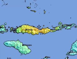 Innalillahi, 5 Orang Tewas dalam Gempa M7,7 di Flores, Kepala BMKG Sebut Sesar sebagai Penyebab Bencana