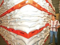 Pemerintah klaim produksi pangan nasional aman hadapi El Nino
