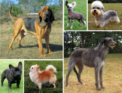 Samsung Galaxy S series yang masih worth it di 2026, S25 atau S24?