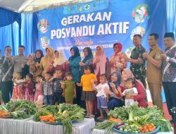 Dinas Kesehatan Kabupaten Kediri Gelar Gebyar Posyandu, Harap Bangun Komitmen dan Kesadaran Bersama